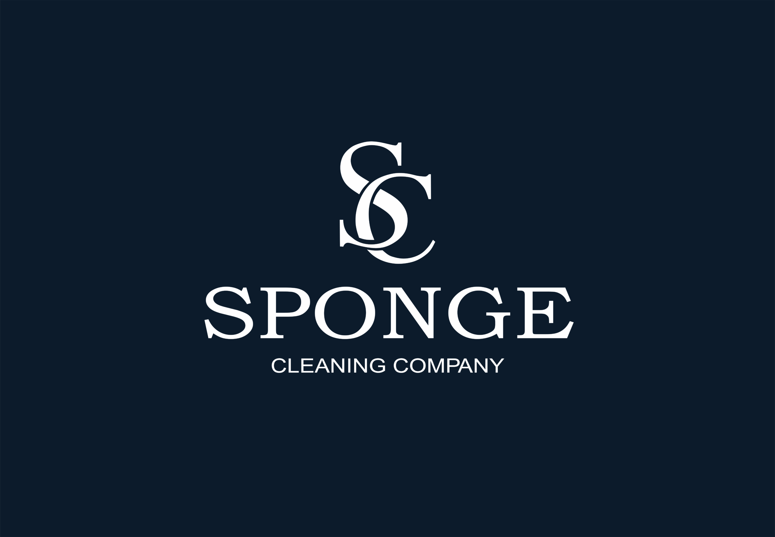 Rebrending Sponge Cleaning